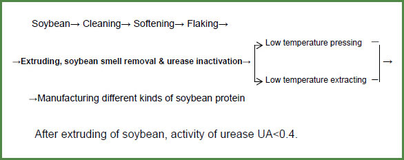 screw 

extruder application in soybean protein factories