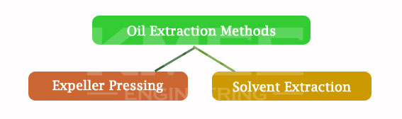 methods of vegetable oil extraction
