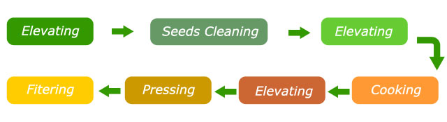 main process of small soya bean seed oil press line