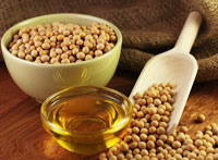 soybean seeds and oil