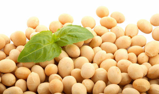 soybean-seeds.jpg