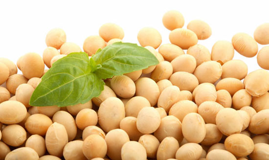 Soya Bean is high in iron