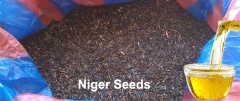 niger seed oil extraction mill