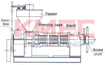YZS-100 screw oil press structure