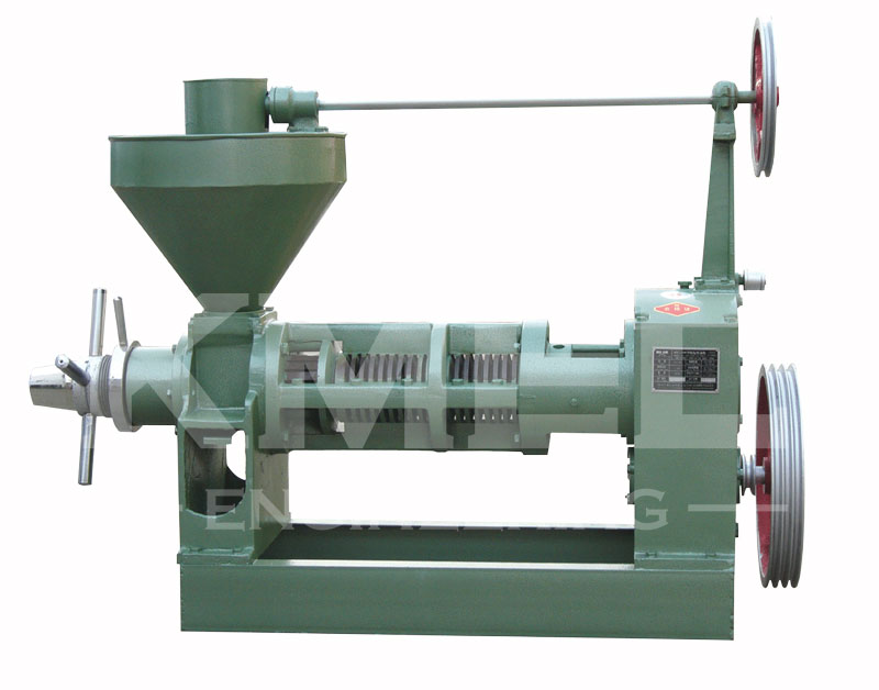 YZS-100 screw oil press