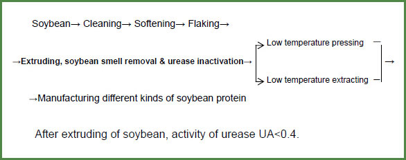 screw 

extruder application in soybean protein factories