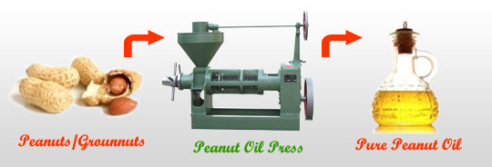make quality peanut oil with our professional oil press machine