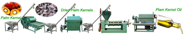 small scale palm kernel oil pressing line