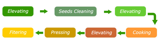 main process of the rapeseed oil processing