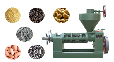 screw oil press machine for pressing line