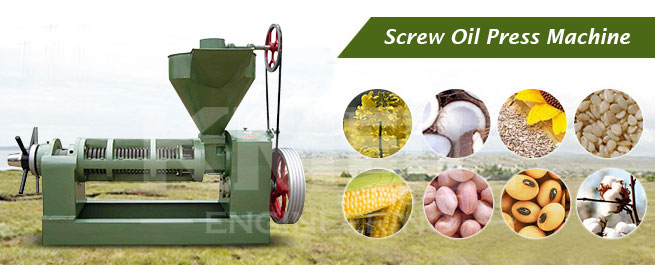 screw oil press machine for vegetable seeds