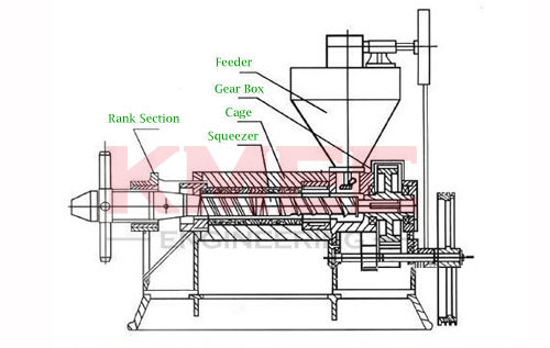 structure of screw oil press machine
