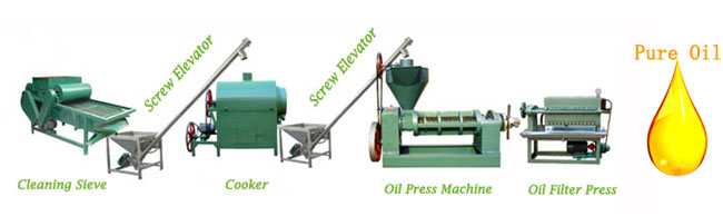 small scale oil pressing line for vegetable seeds and nuts