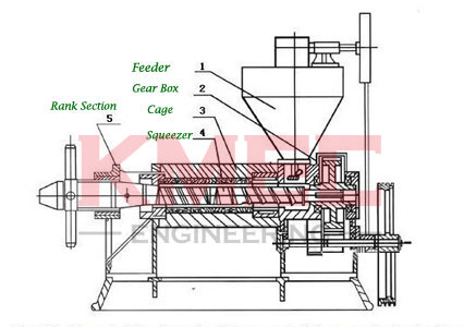 YZS-95 screw oil press structure