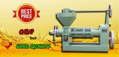 purcahse cheap oil press from China