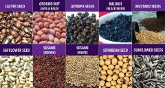 soya oil making fully automatic plant