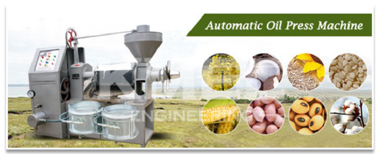automatic oil press with filters