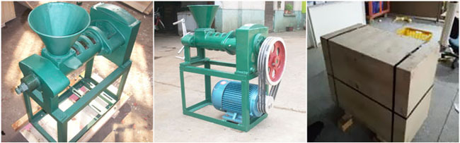 small hemp seed oil press